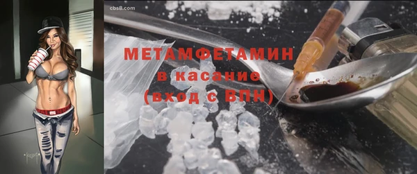 гидра Инсар