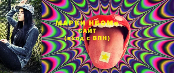 винт Инта