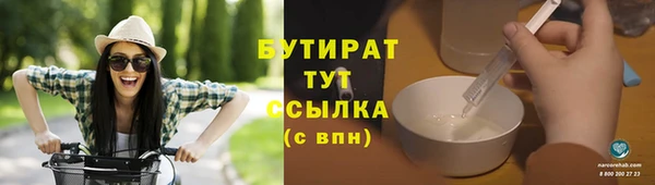 гидра Инсар