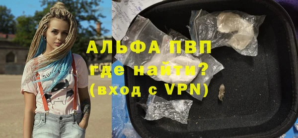 гидра Инсар