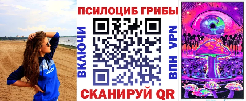 Купить где  Нижнеудинск  Псилоцибиновые грибы ЛСД 